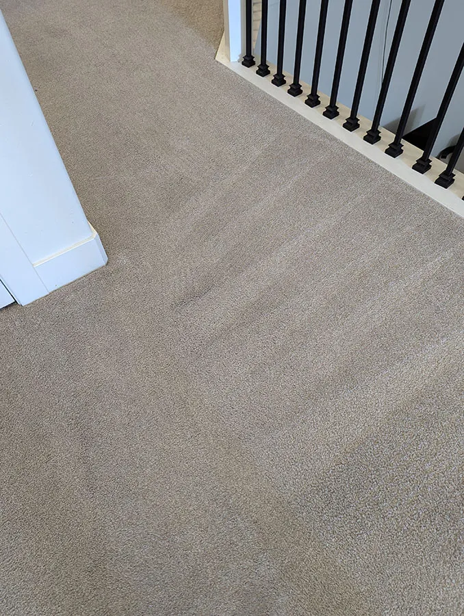 After Carpet Cleaning
