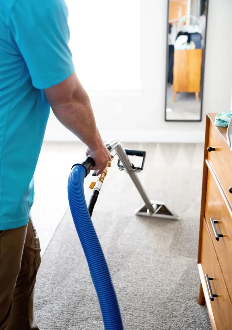 PIneapple Carpet Cleaning Staff Cleaning Carpets