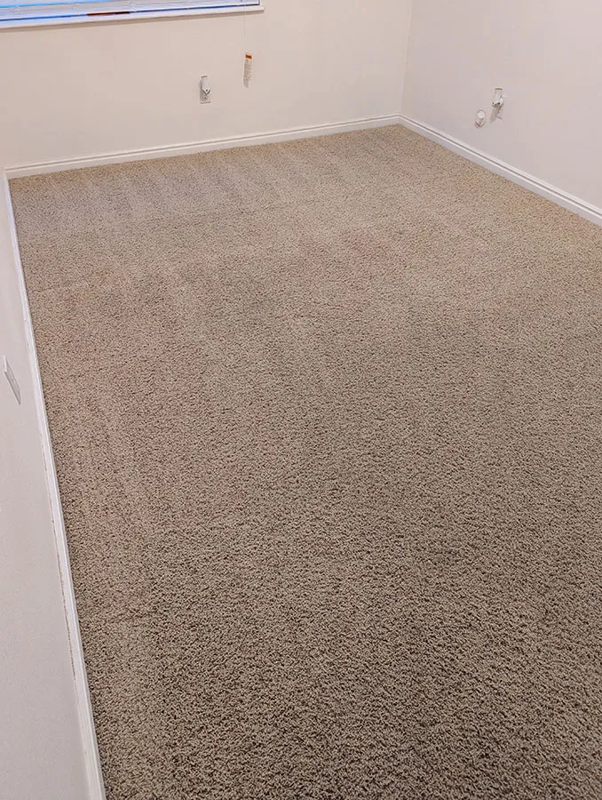 Ann image of a carpet after cleaning